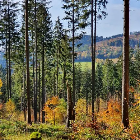 Ksiezycowa Dolina * Lądek-Zdrój