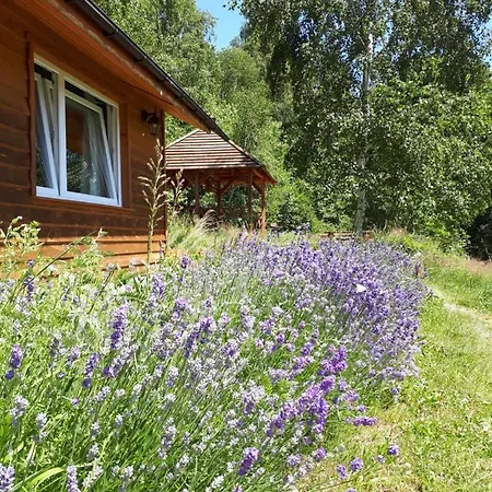 Apartment Ksiezycowa Dolina