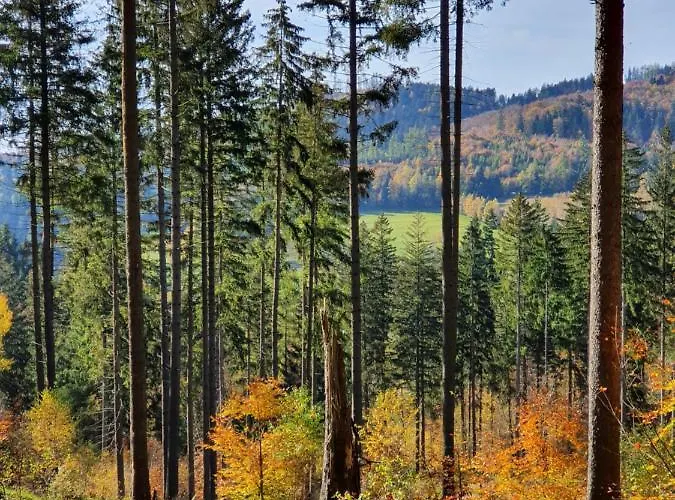 Ksiezycowa Dolina * Lądek-Zdrój