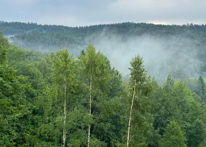 Ksiezycowa Dolina Apartment *